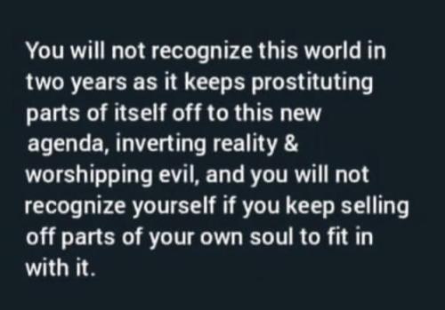 photo_2023-12-26_22-36-50