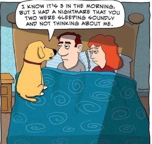 know-s-3-morning-but-had-nightmare-two-were-sleeping-soundly-and-not-thinking-about-6-ingmersen