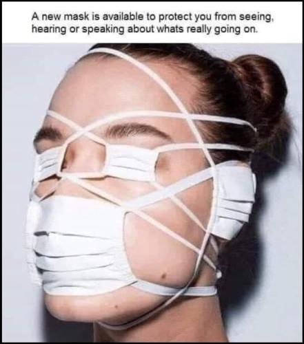 50e7bed1d9d4c5345ba03f87d89bd78b_768x0