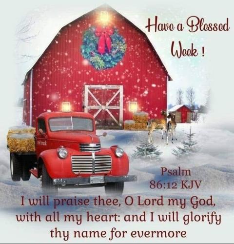 656a81c0-1e92-4750-ab1e-bfd69a713517