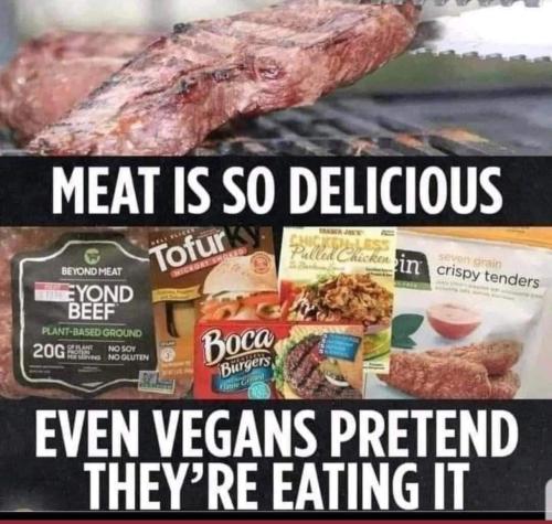meat is so delicious