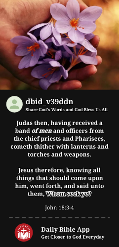 2023-12-081702046934323