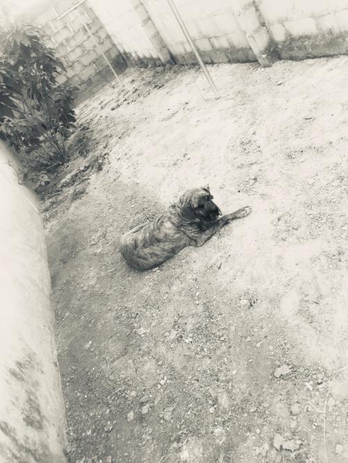 F9496190-BC57-47BB-8B9D-3616C2358539