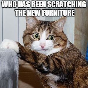 cdad17315fc2e0b81f95d18f0c7a7d5d