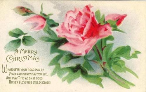 received_274260751178072