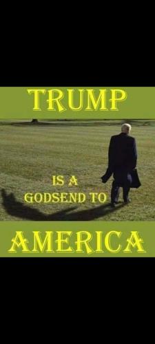 Screenshot_20230910-185127_Gallery