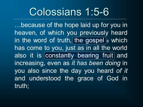 Colossians 1_5-6