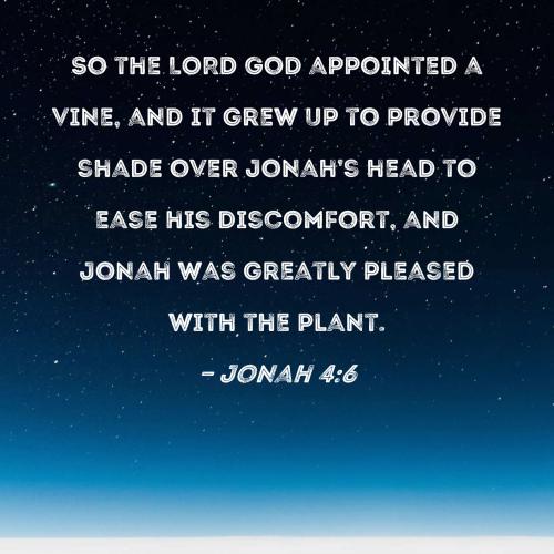 Jonah 4_6