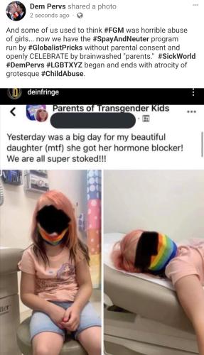 child abuse spay neuter lgbtxyz trans kids