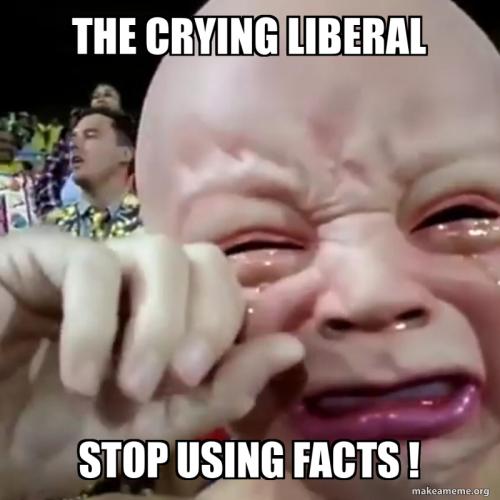 the-crying-liberal