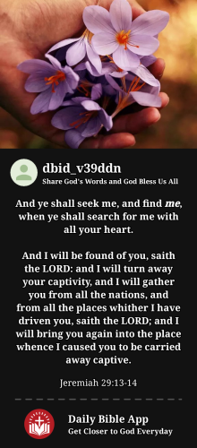 2023-12-181702882678075