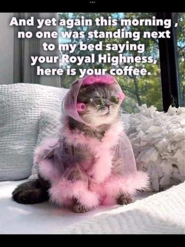 410227103_855609749903369_1683154634473314064_n