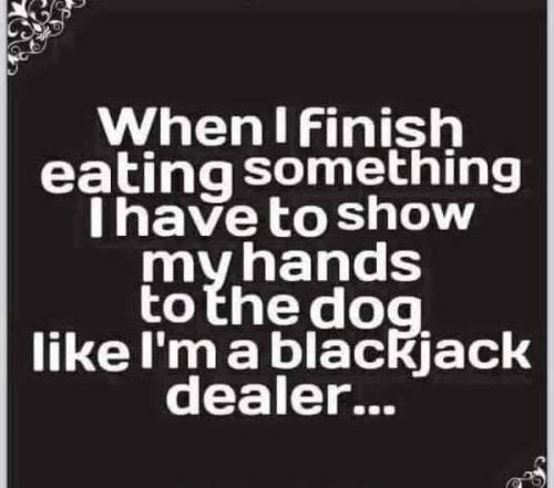 FB_IMG_1702148544246