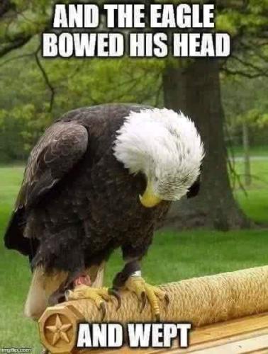 249b48ca7a8a95d865367af0346524e3