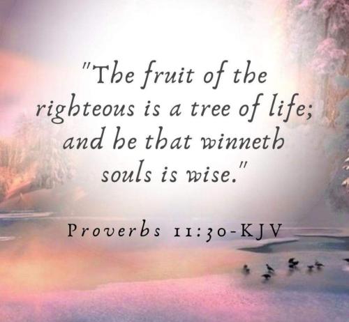 02e81611-6b4b-4743-9ff4-e6844f96968a