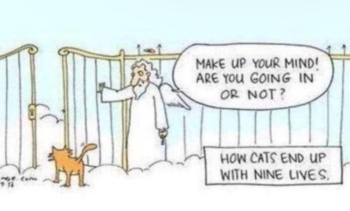 408276367_122142097850027083_8551828906624967281_n