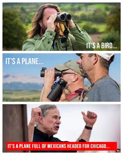 birdplanwhaterver