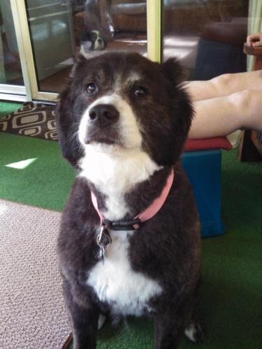 IMG_20130531_091051_637