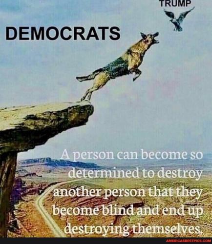 8259e77b86fe3baf2616c26b06589ea1f90f97111e89c06eaf57a0153ccdf6d6_1