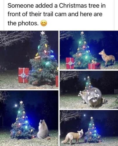 photo_2023-12-20_20-32-13