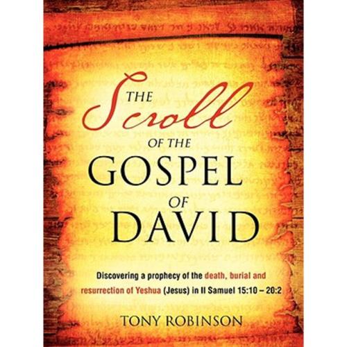 Pre-Owned-The-Scroll-of-the-Gospel-of-David-Paperback-9781606471616-by-Sir-Tony-Robinson