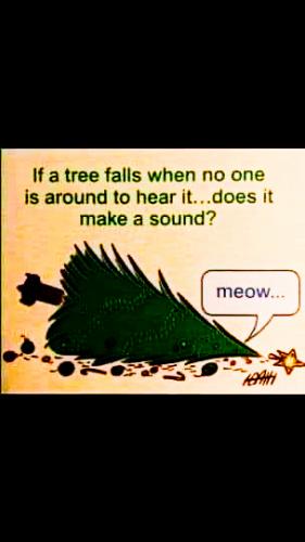 iof a tree f alls