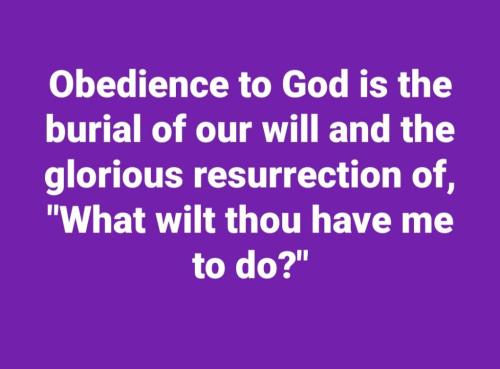 c4eeafd6-8e7b-4f48-abdb-d70598108d18