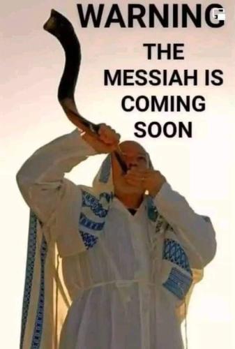 FB_IMG_1702255887256