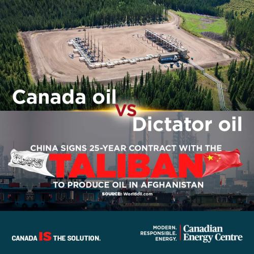 Canada Oil vs Dictator Oil