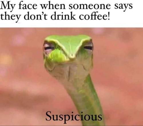 406431886_6880473038709409_1932107248020387698_n