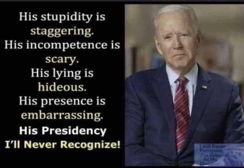 IMG_Fri Nov 11 14_02_09 EST 2022