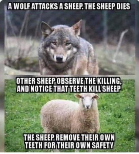 sheepole and gun control