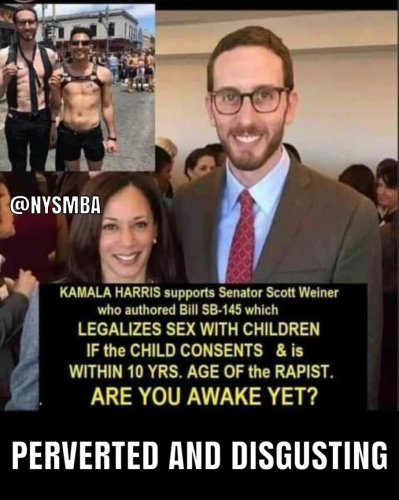 sngine_91818cdefad53f329b45994b5b7e5ec2