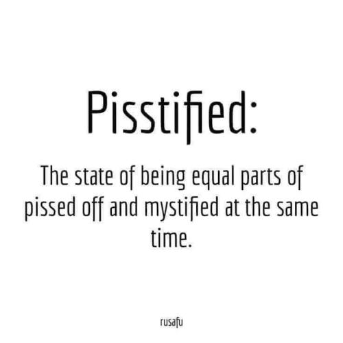 FB_IMG_1701311956821