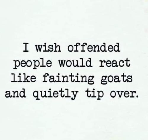 FB_IMG_1701823270473