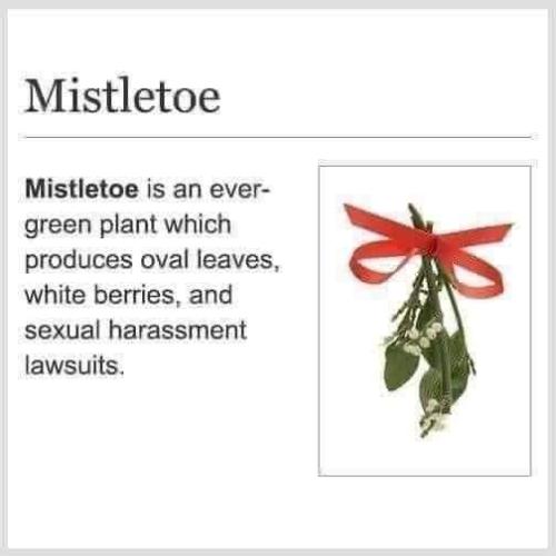 mistletoe