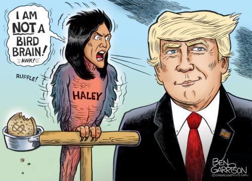 nikki_haley_bird_brain-1536x1108