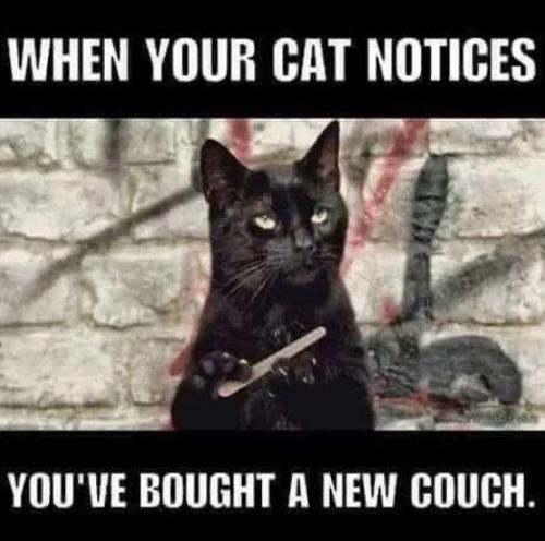 sngine_d4e2872a8b705d64cf6f1e574c3ebe5b