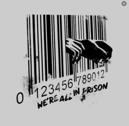Screenshot_20231205_114810_Wimkin Free Speech Social Media