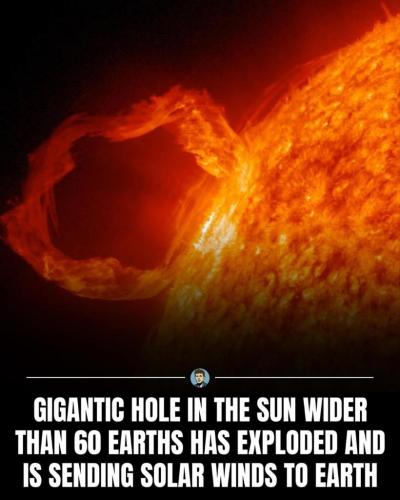 e062aba1-c5e1-446f-b345-707c7c191949