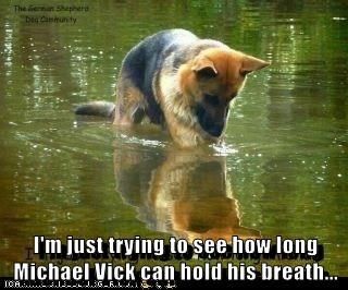 11aec1f6f2d759bbad66cd1e53ee465b