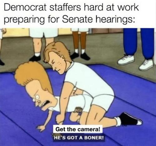 democrat senate staffers11