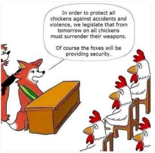 chickens-surrender-weapons-accidents-foxes-providing-security