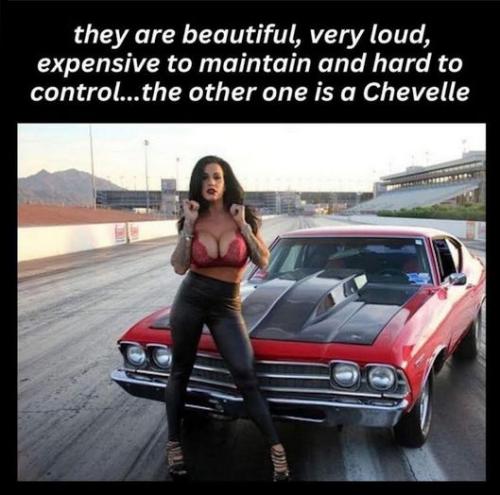 they are beautiful03