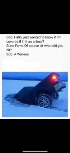 FB_IMG_1703335230505