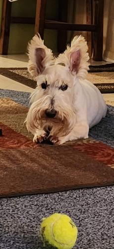 16:40:53 GMT-0600 (CST)