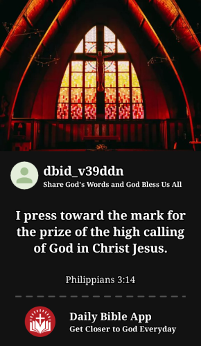 2023-12-081702046621529