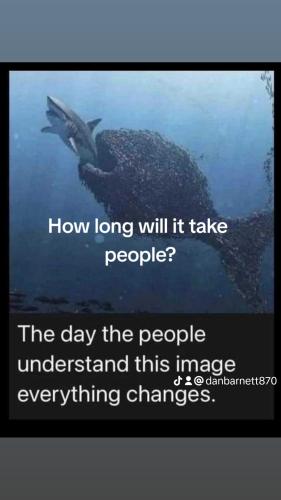 edff7bb22f5c5deb6f4d2201484fcf22_0