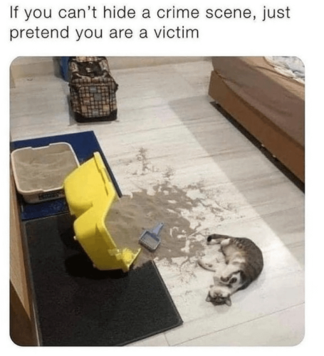 if-you-cant-hide-a-crime-scene-just-pretend-you-are-a-victim-v0-5om97jacv9k91