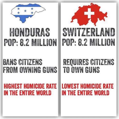 swiss guns